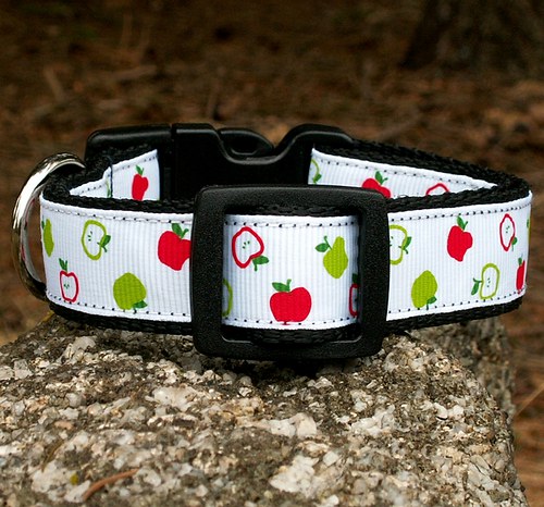 Jablíčkový obojek bílý 25 - 35 cm — foto 1