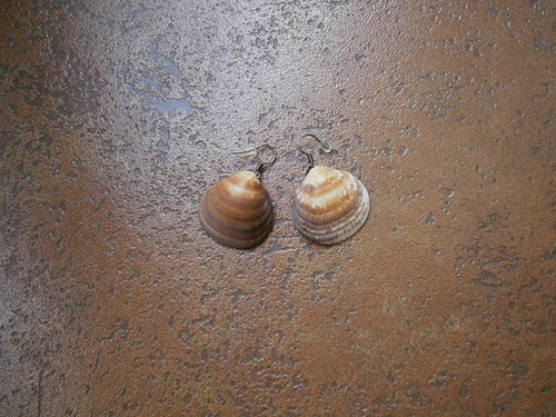 Mušle 2