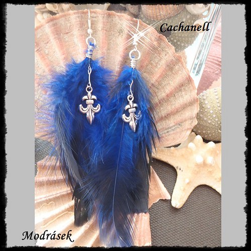 Modrásek — foto 1