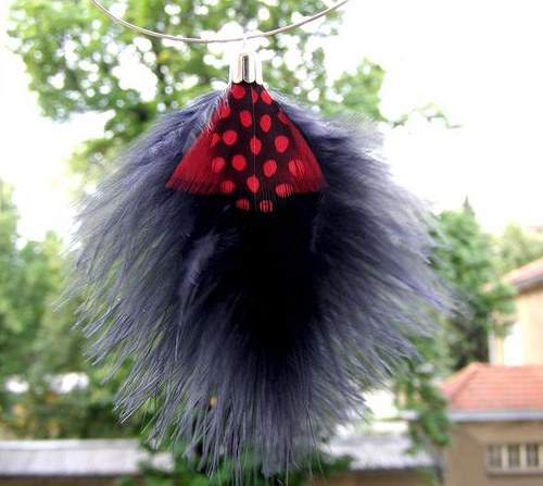 Beruška na přání — foto 1