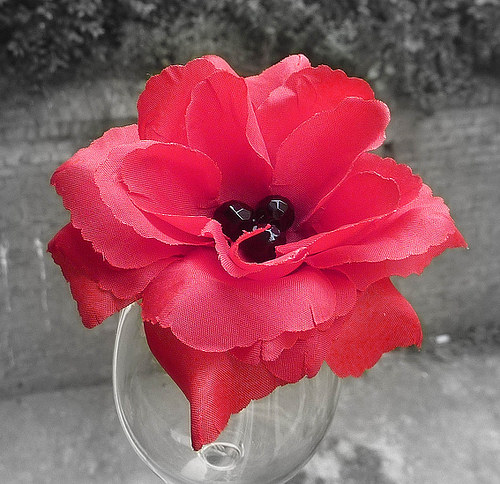 Flower — foto 1