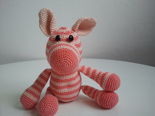 Zebra Oranžovka — foto 1