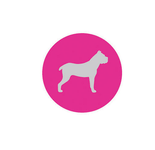 Placka Cane corso 02 — foto 1