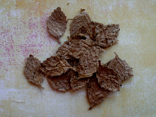 Lístečky — foto 1
