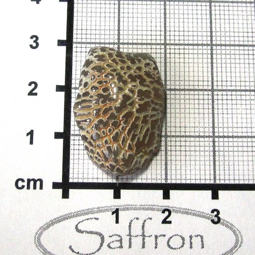 Pravý "snake skin" achát č.2 — foto 1