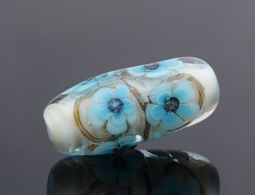 Myosotis — foto 1