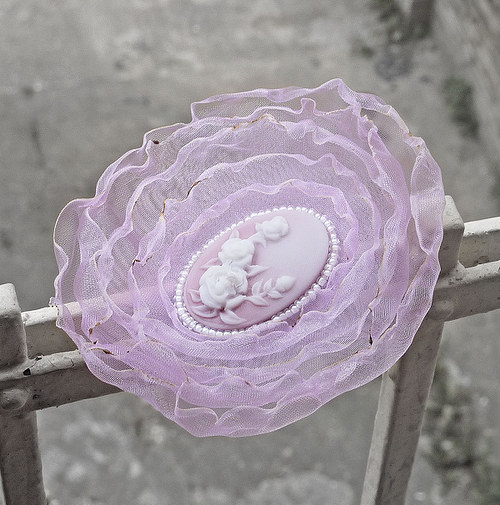 Cameo roses — foto 1