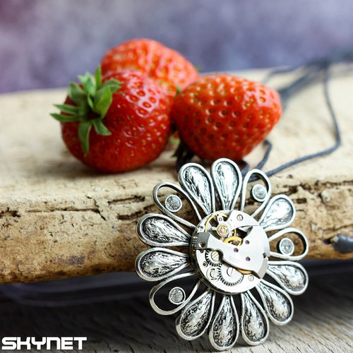 Steampunková kopretina — foto 1
