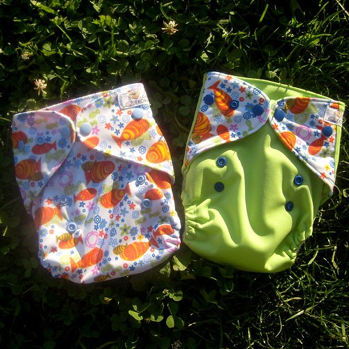 Rybičky s aksamitem — foto 1