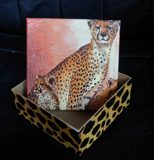 Krabička Gepard — foto 1