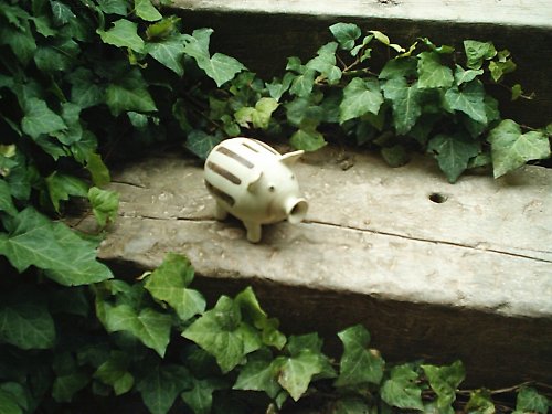 Prasátko - kasička — foto 1