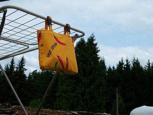 Taštička na kolíky - pálí, pálí... — foto 1