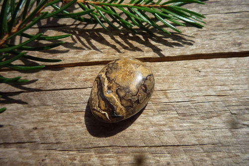 Stromatolit č. L3773 — foto 1