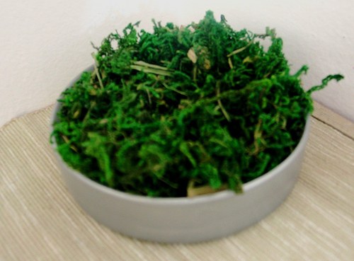 Mech dekorační 100g — foto 1