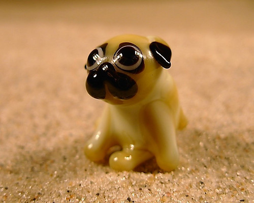 Mops sedící