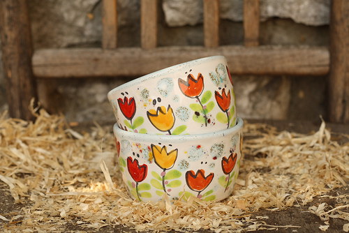 Misky s tulipánky — foto 1