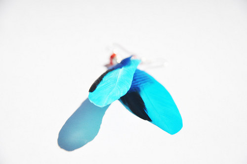 FunkyBird. — foto 1