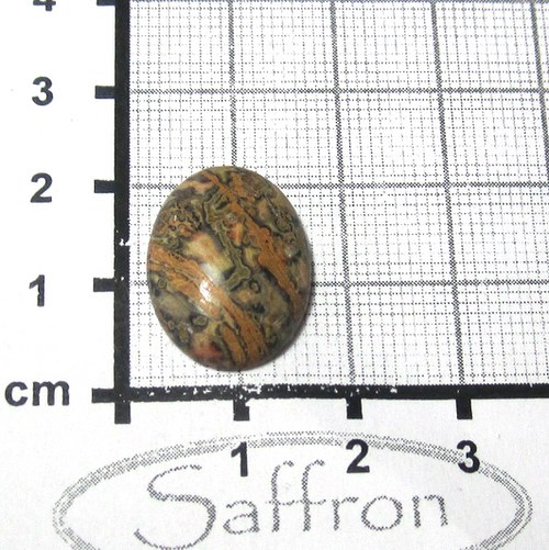 Leopardí jaspis, kabošonek 20x15mm č.1 — foto 1