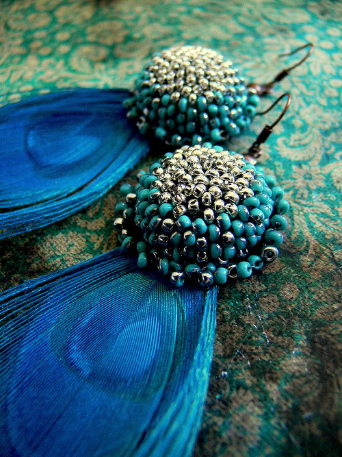 Turquoise peacock — foto 1
