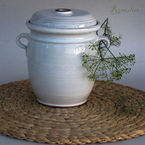 Kvašák bílý (1,6 l) — foto 1