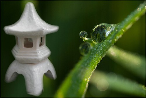 Japonská pagoda — foto 1