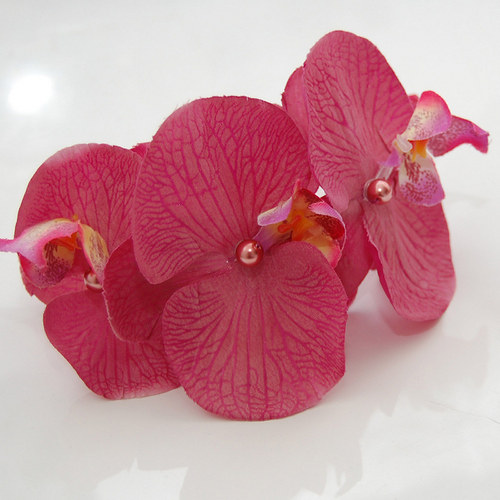Orchidej pro Růženku ... čelenka — foto 1