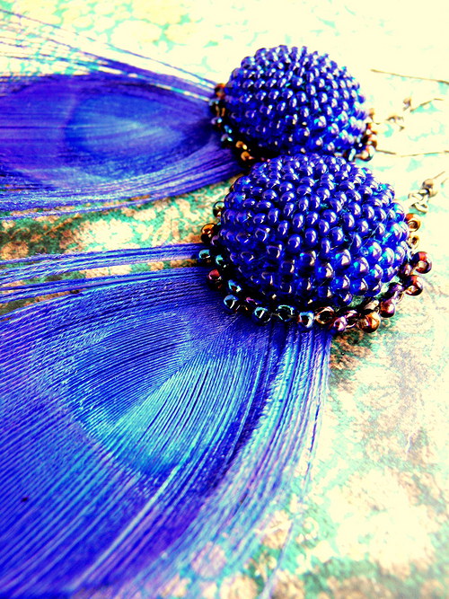 Blue peacock — foto 1