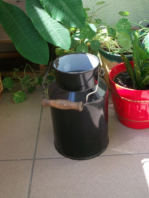 Bandaska — foto 1