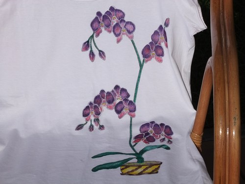 Orchidea — foto 1