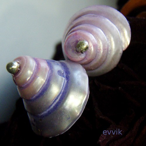 Puzetové lasturky - lila — foto 1