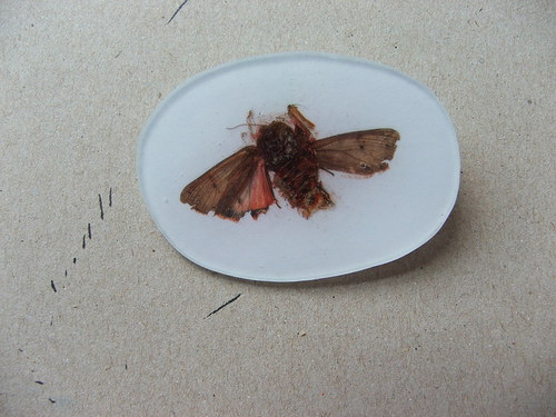 Mů-ra — foto 1