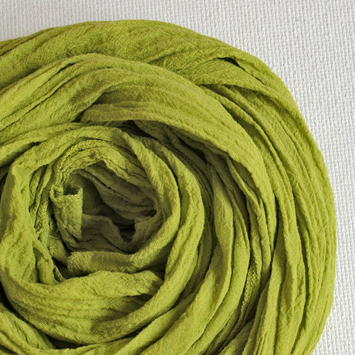 Citron a limetka — foto 1