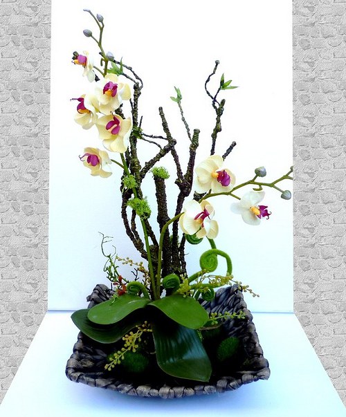 Aranžovaná dekorace Orchidea amazonská — foto 1