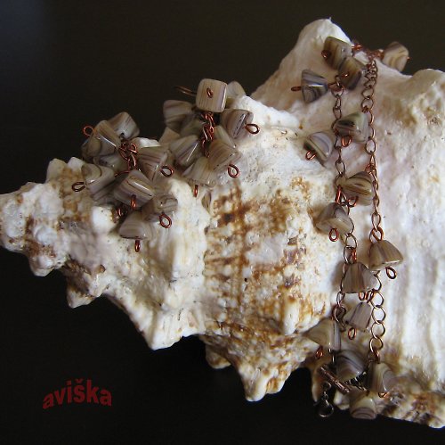 Hnědý melír — foto 1