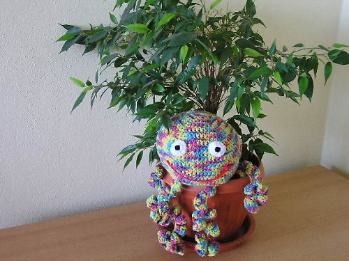 Převeselá chobotnička — foto 1