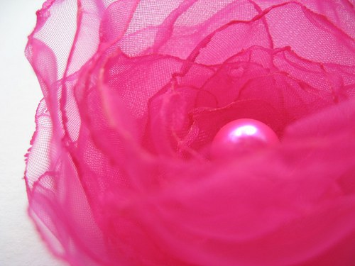 Fuchsie... — foto 1