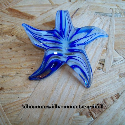 Hvězdice Bílomodrá — foto 1