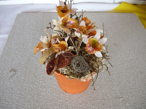 Orchidea v oranžovém — foto 1
