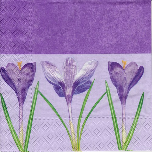 Ubrousek 33 x 33 cm