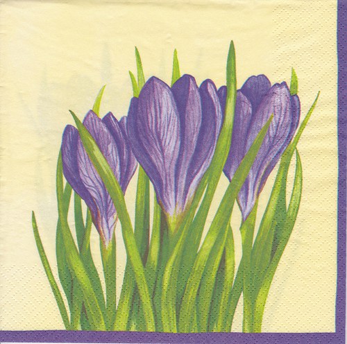Ubrousek 33 x 33 cm — foto 1