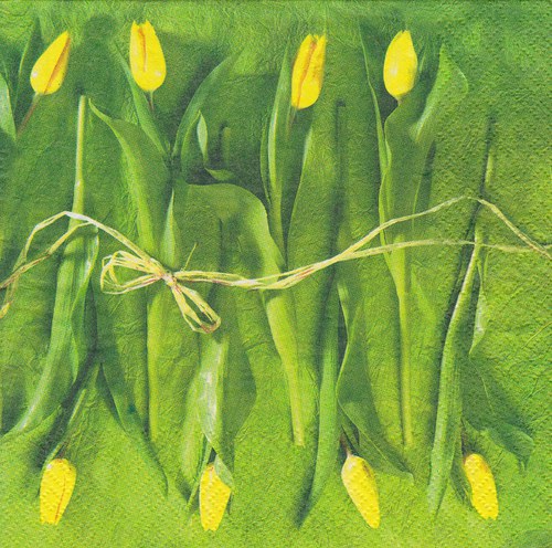 Ubrousek 33 x 33 cm