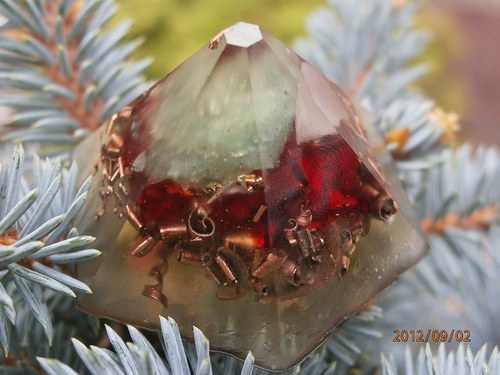 Broušený diamant Mech a růže — foto 1