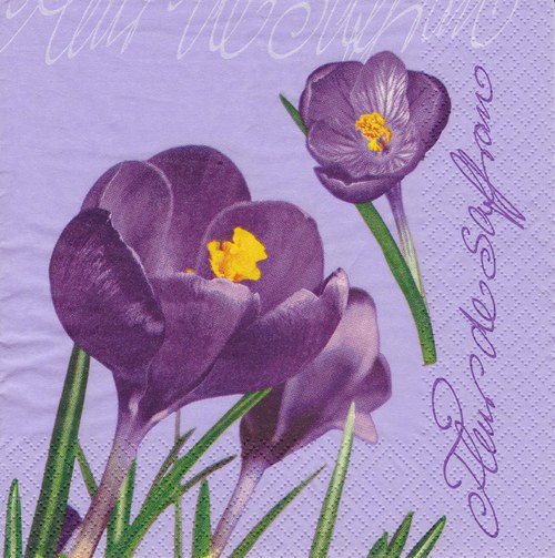 Ubrousek 33 x 33 cm — foto 1