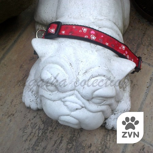 Srdíčkový červený — foto 1