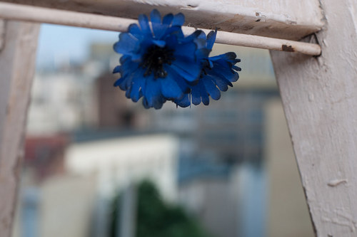 CHRPY — foto 1