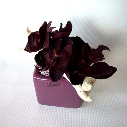 Černá orchidej - malá — foto 1