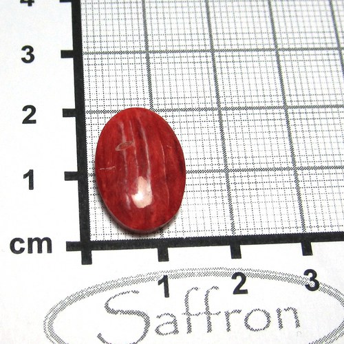 Spondylus - kabošon č.1 — foto 1