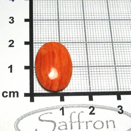 Spondylus - kabošon č.2 — foto 1