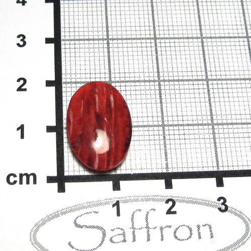 Spondylus - kabošon č.9 — foto 1