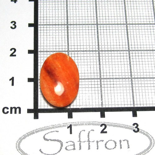 Spondylus - kabošon č.10 — foto 1